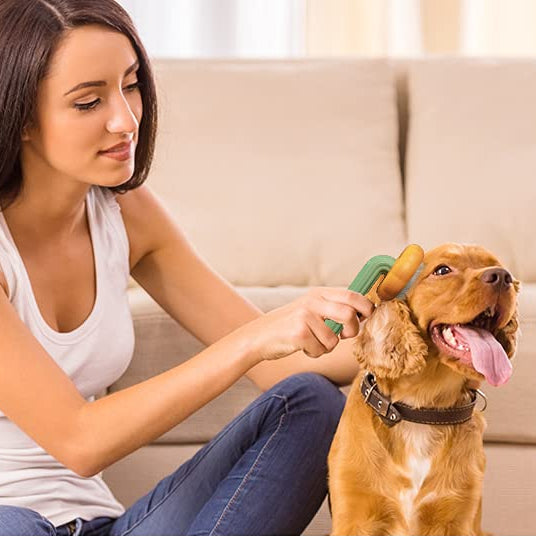 Brushing a dog with the self-cleaning slicker brush