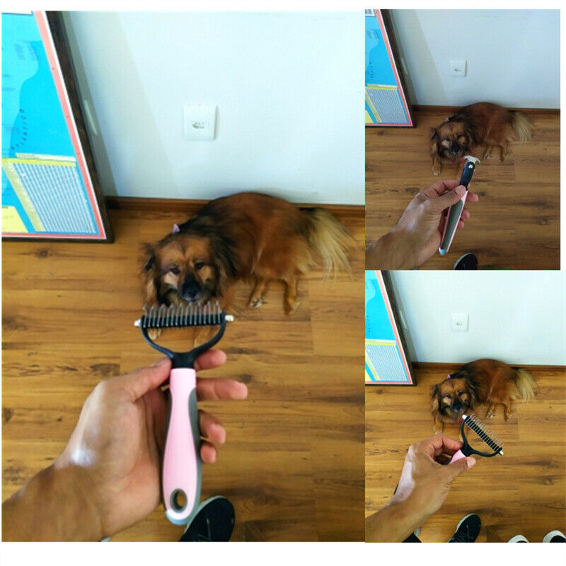 Undercoat rake in use on a dog