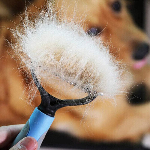 Undercoat rake pulling loose fur from a dog's coat