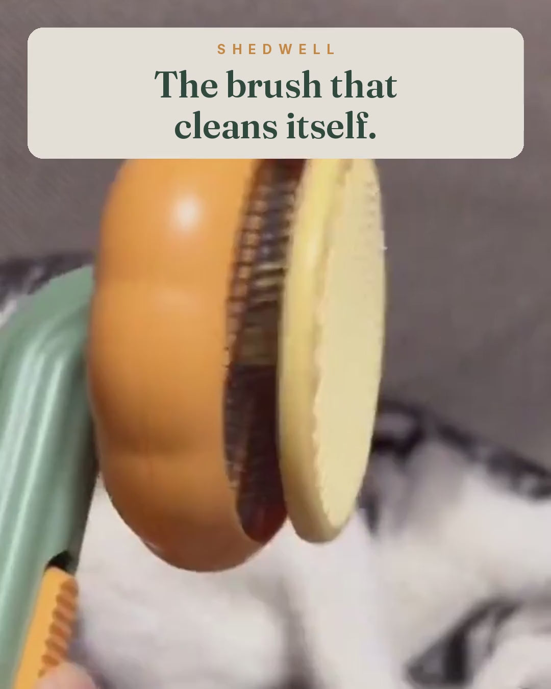 Video: brushing a cat, then pressing the button so the pins pull back and wiping the hair off